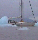 Ataram slalome entre les icebergs de la lagune de San rafael