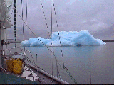 Ataram se prom�ne parmi les icebergs d�tach�s du glacier dela lagune de San rafael